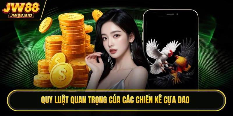 Quy luật quan trọng của các chiến kê cựa dao